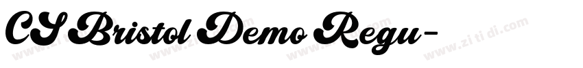 CS Bristol Demo Regu字体转换